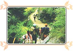 Way to Hemkund Sahib 