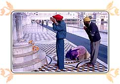 Sikh Pilgrims Praying